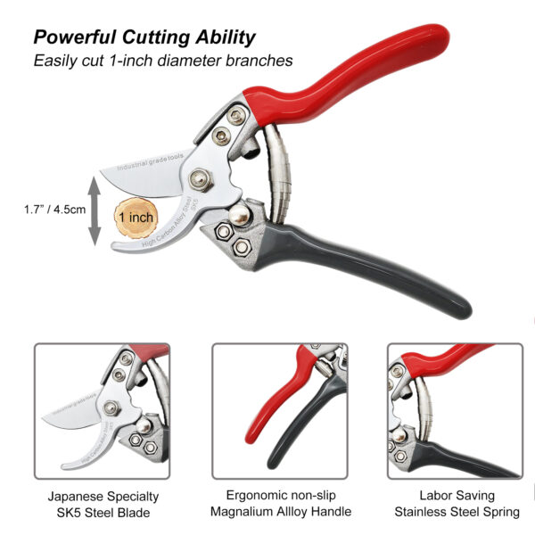 TONMA Pruning Shears [Made in Japan] Professional 7.5 Inch Premium Plant Garden Scissors Secateurs with Ergonomic Handle, Bypass Hand Pruners Branch Gardening Clippers for Plants (TP-3) - Image 7
