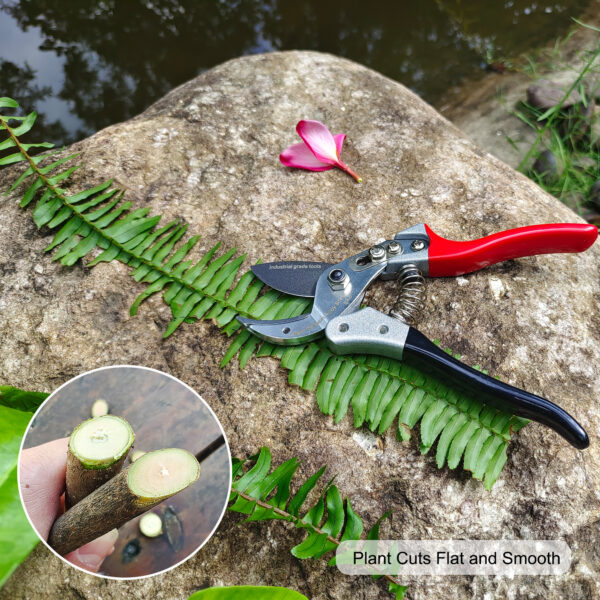 TONMA Anvil Pruning Shears [Made in Japan] 8" Sharp Garden Shears for Gardening, Heavy Duty Hedge Trimmers, Garden Clippers, Pruner, Garden Tools Pruning Scissors for Indoor & Outdoor Plants, Branch (TP-6) - Image 5