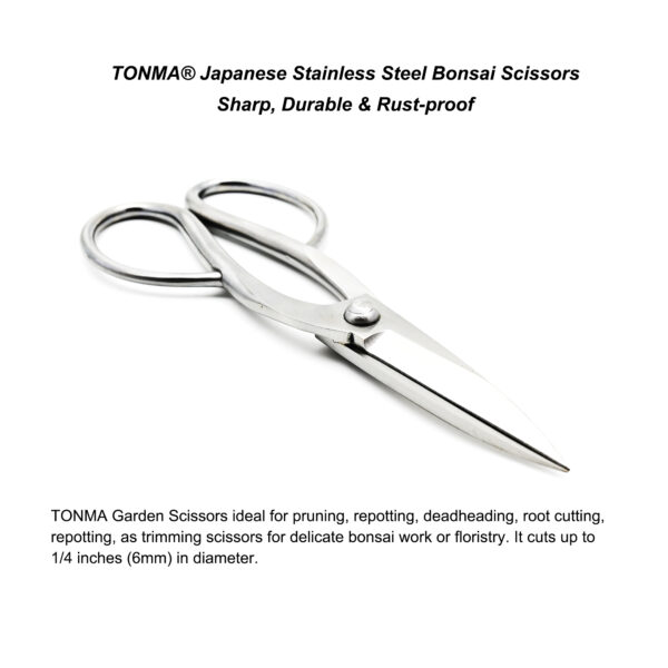 TONMA Professional Bonsai Scissors [Made in Japan] Stainless Steel 8" Japanese Bonsai Tools Garden Pruning Shears for Arranging Flowers Trimming Plants, Ultra Sharp & Rust-proof (TGS-3) - Image 5