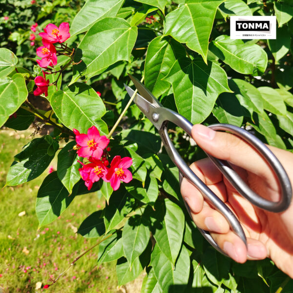 TONMA Professional Bonsai Scissors [Made in Japan] Stainless Steel 8" Japanese Bonsai Tools Garden Pruning Shears for Arranging Flowers Trimming Plants, Ultra Sharp & Rust-proof (TGS-3) - Image 6