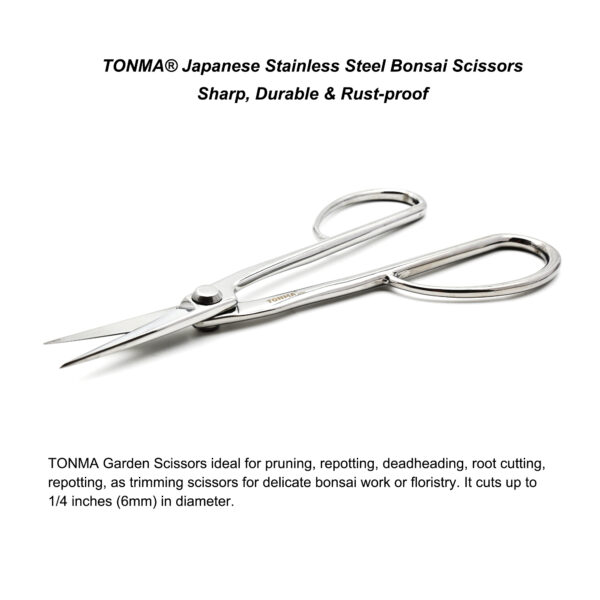 TONMA Bonsai Scissors 8.5" [Made in Japan] Professional Bonsai Tools Japanese Stainless Steel Pruning Scissors for Gardening Trimming Plants, Mirror Polishing Process (TGS-4) - Image 5